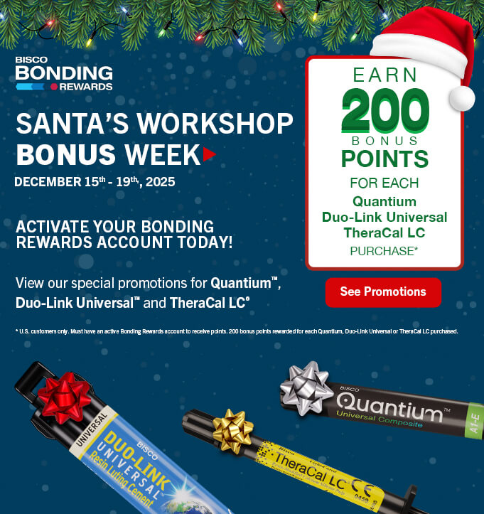 Santa Promo